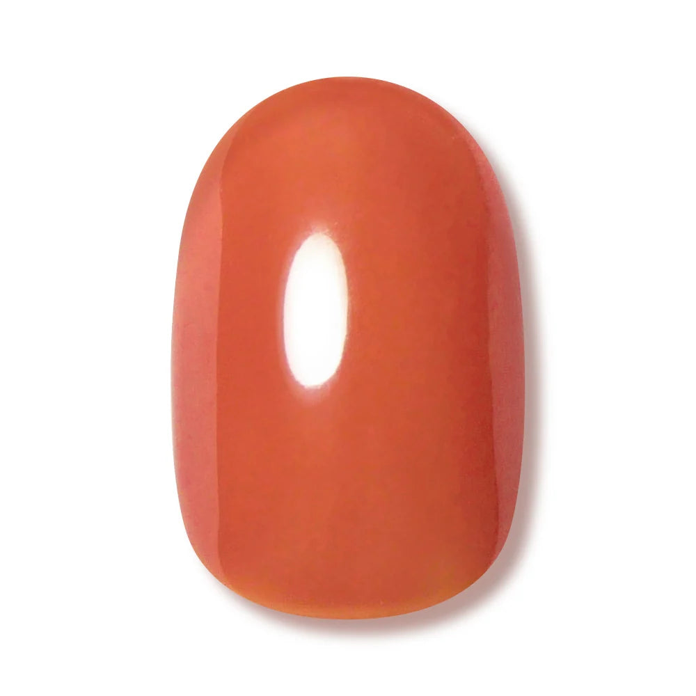 HOMEI Weekly Gel Polish WF5 - Terra Blush